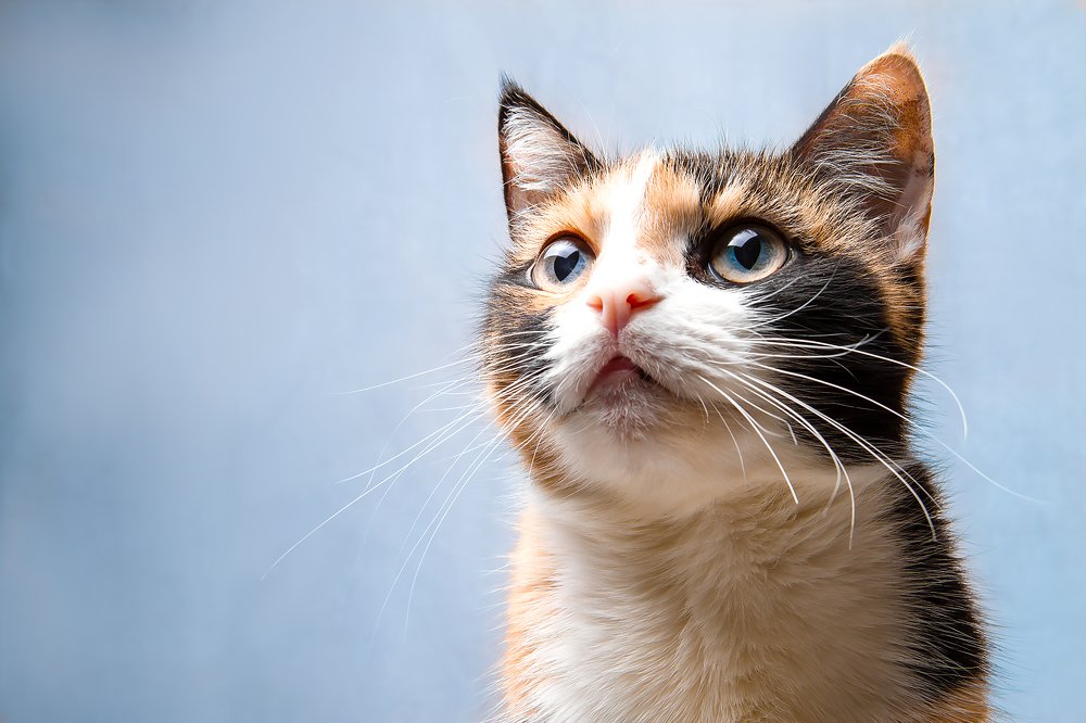 Photograph by Полина Беляева