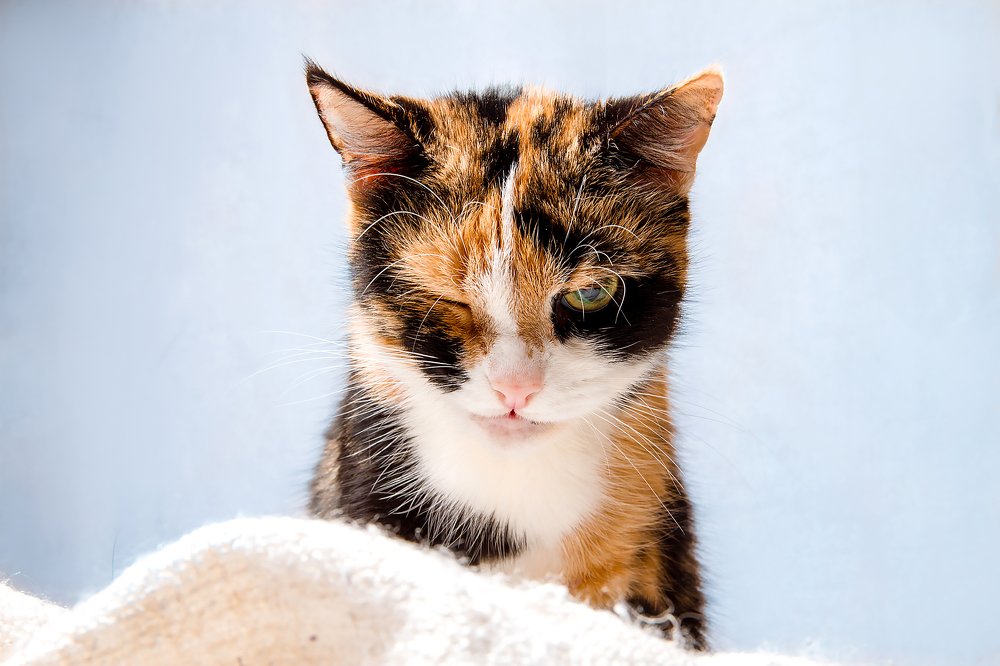 Photograph by Полина Беляева