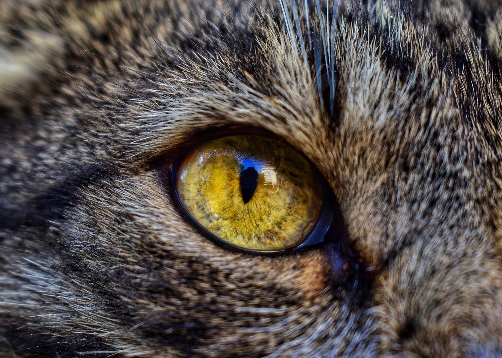 Photograph by Екатерина Романова