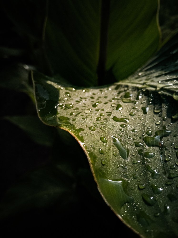 Photograph by Екатерина Романова