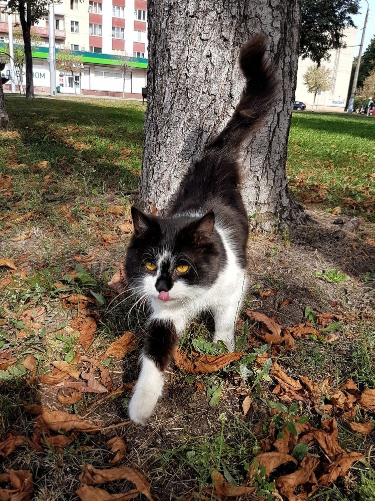 Photograph by Дарья Довгаль