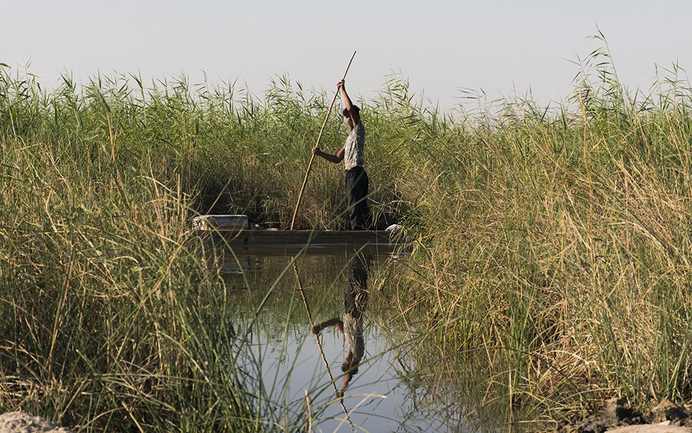 Photograph by sara sajadi