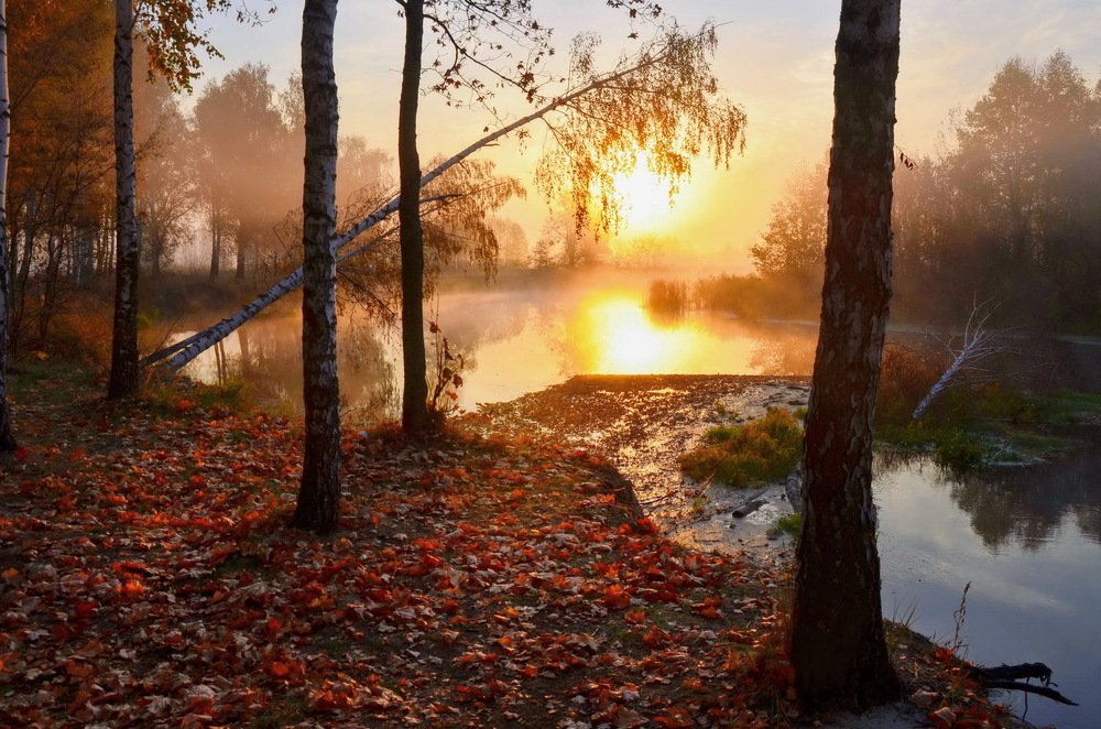 Photograph by Владимир Тертышник