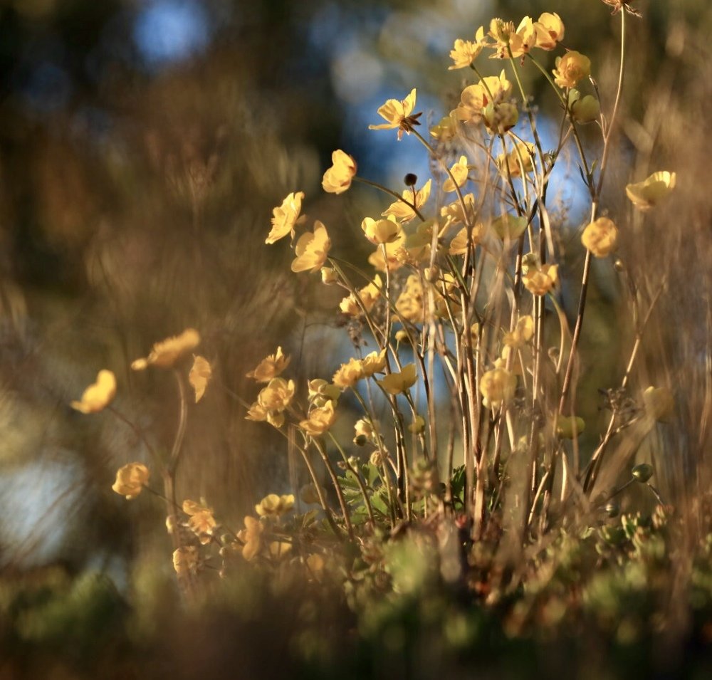 Photograph by 