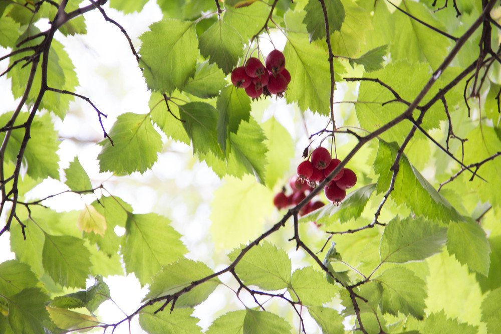 Photograph by Татьяна Сарбаева