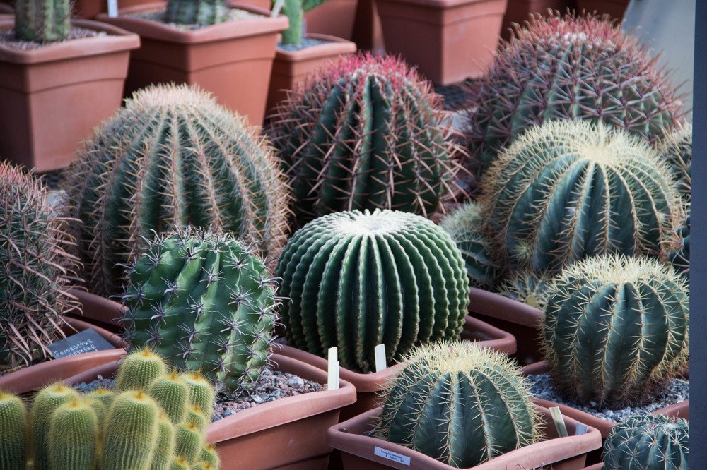 Photograph by Татьяна Сарбаева