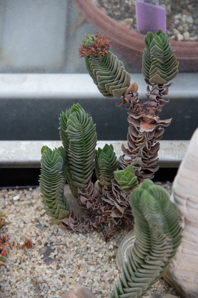 Photograph by Татьяна Сарбаева