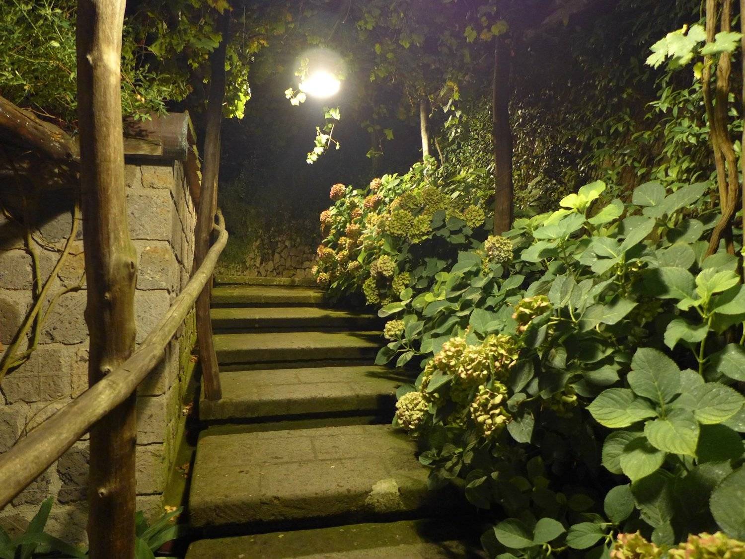 Photo #3584139