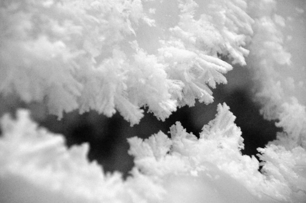 Photograph by Николай Соколовский