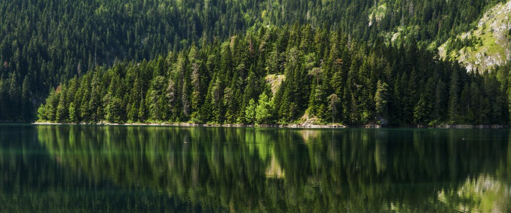 Photograph by Армашов-Тельник Григорий