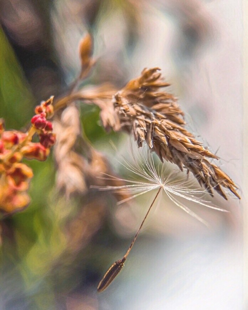 Photograph by Кристина Ковальчук