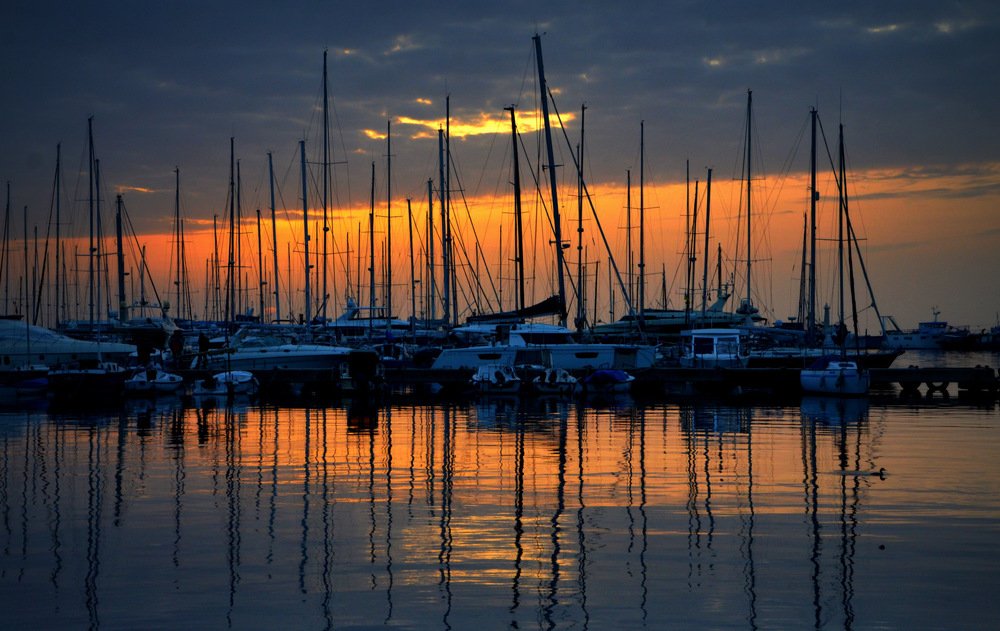 Фотография автора Jadranka Mamić