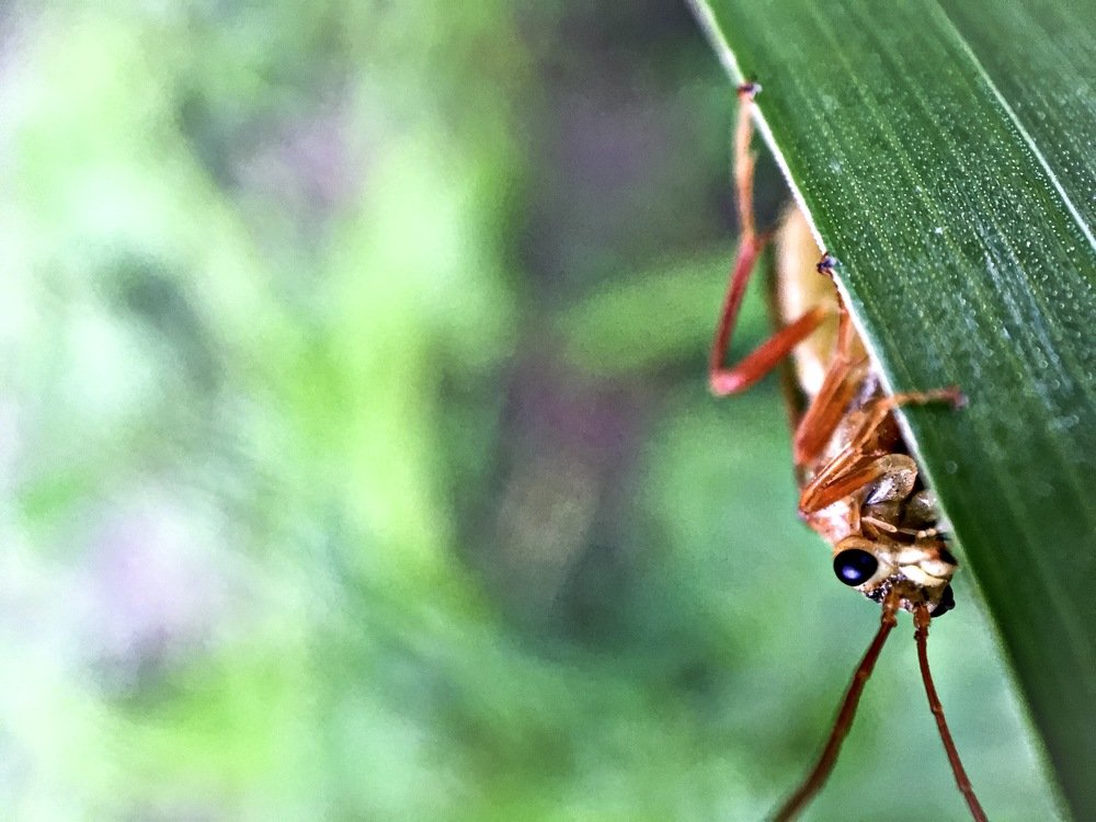 Photograph by Кристина Ковальчук