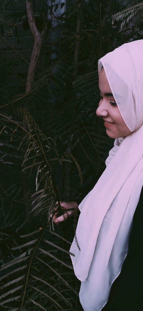 Photo #3584277