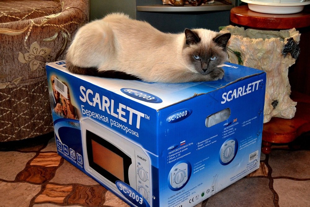 Моя микроволновка