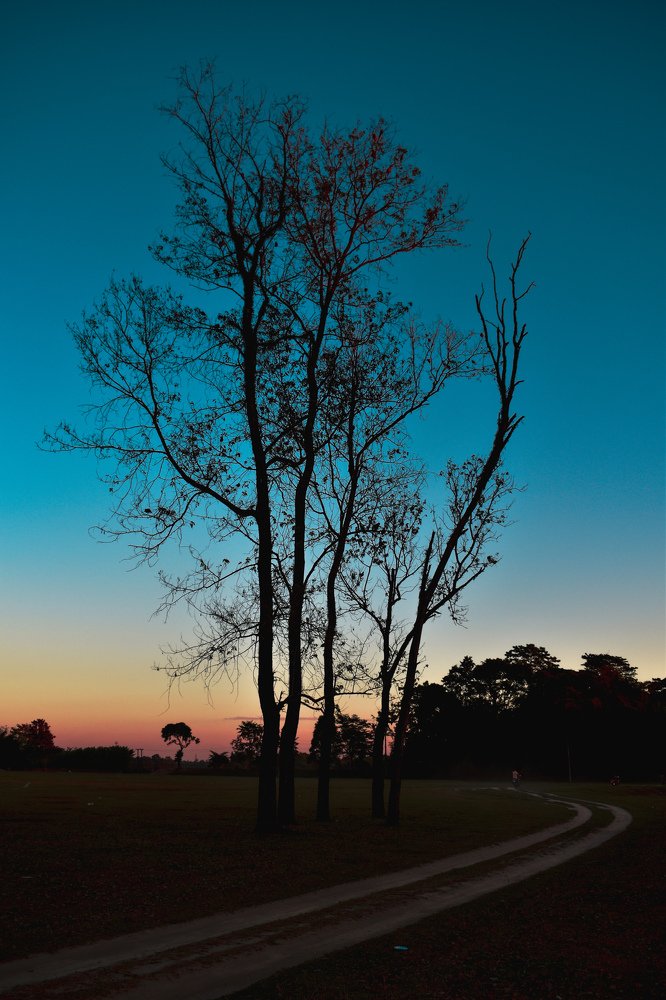 The evening time