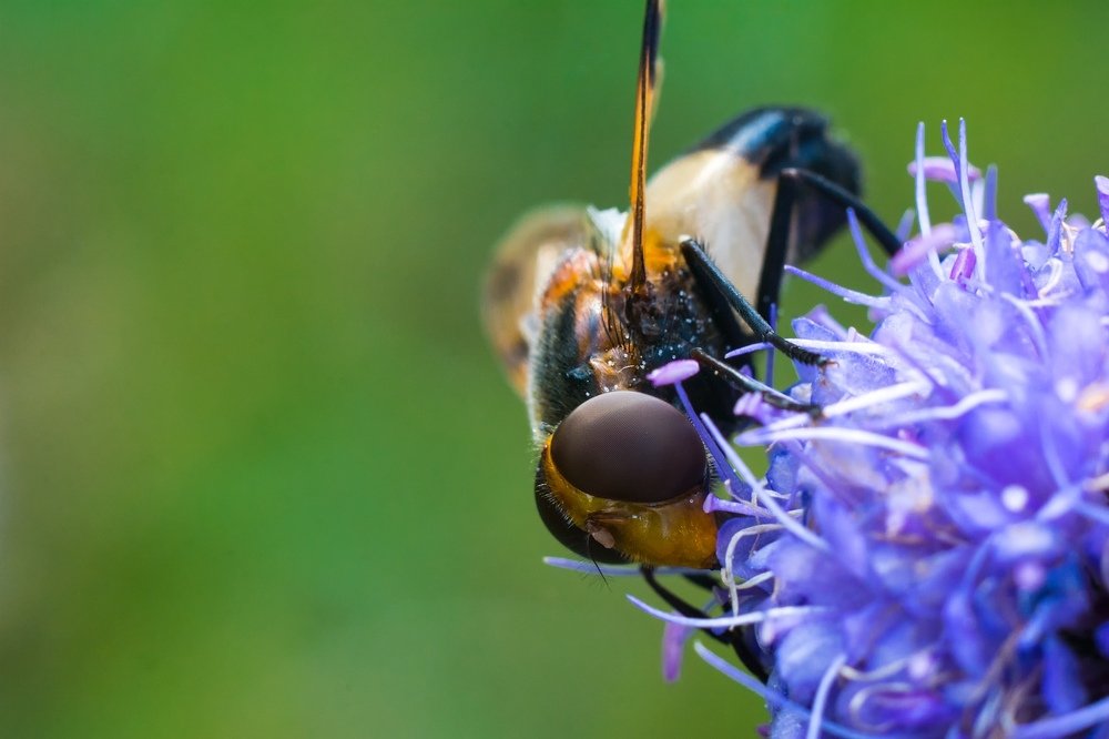 Photograph by Лапенкова Ольга