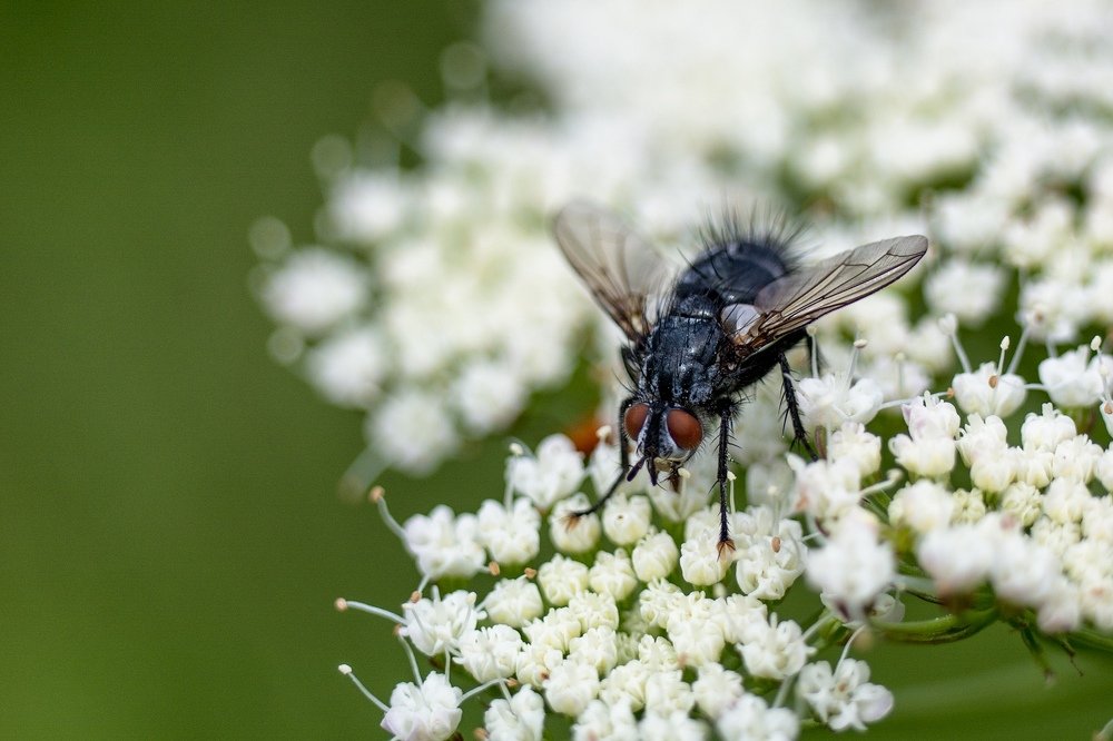 Photograph by Лапенкова Ольга