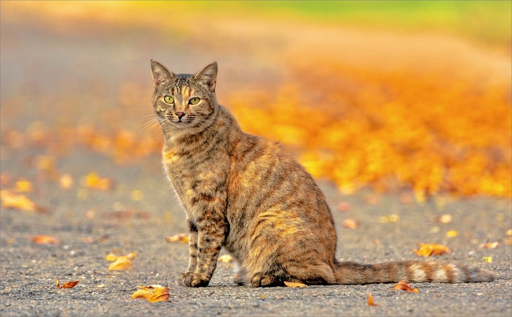 Photograph by Alida Du Toit