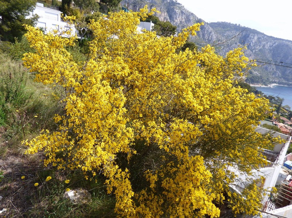 Photograph by Pjotr Alekseev