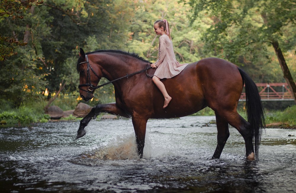 Луиза и Ландэсс