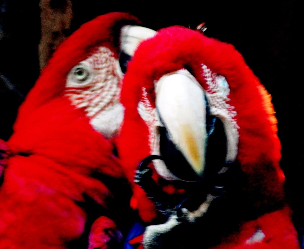 Фотография автора Fernando Rosa