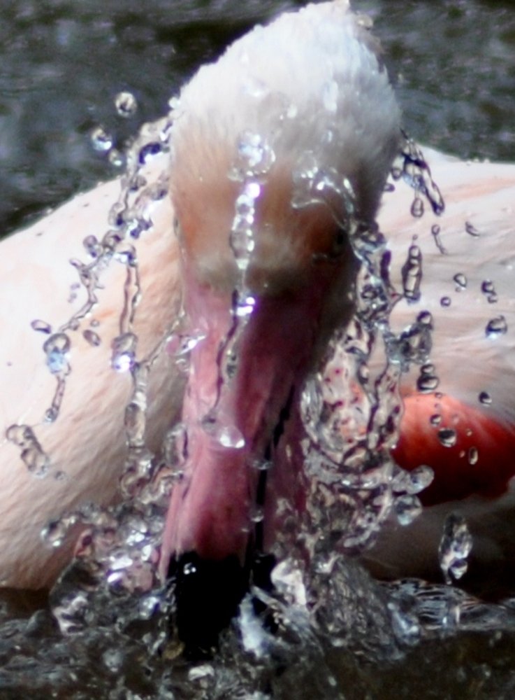 Фотография автора Fernando Rosa