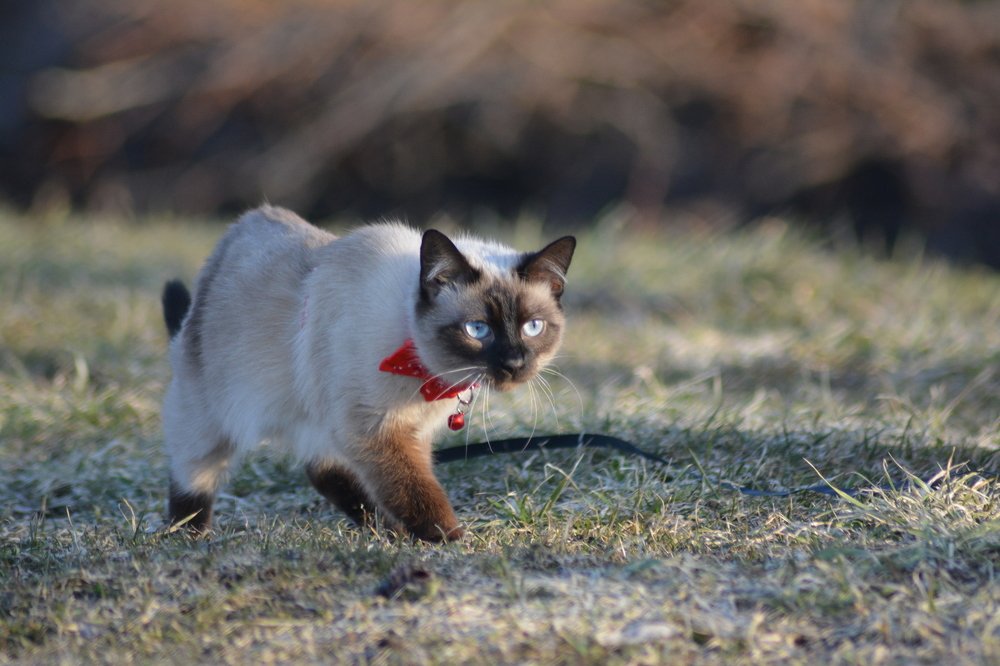 Photograph by Szilveszter Zoltan