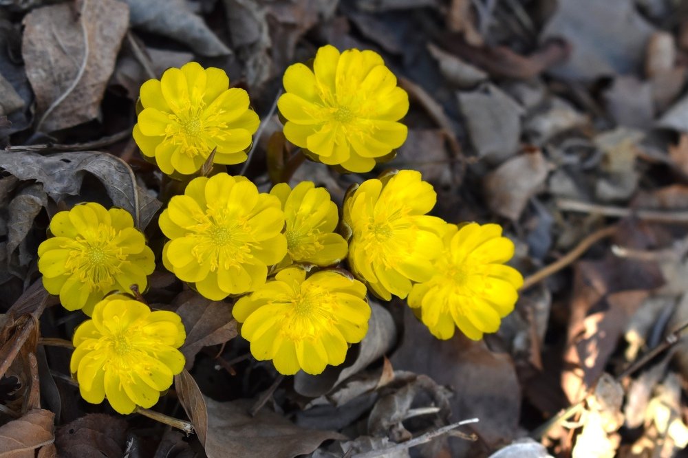 Photograph by Светлана Титова