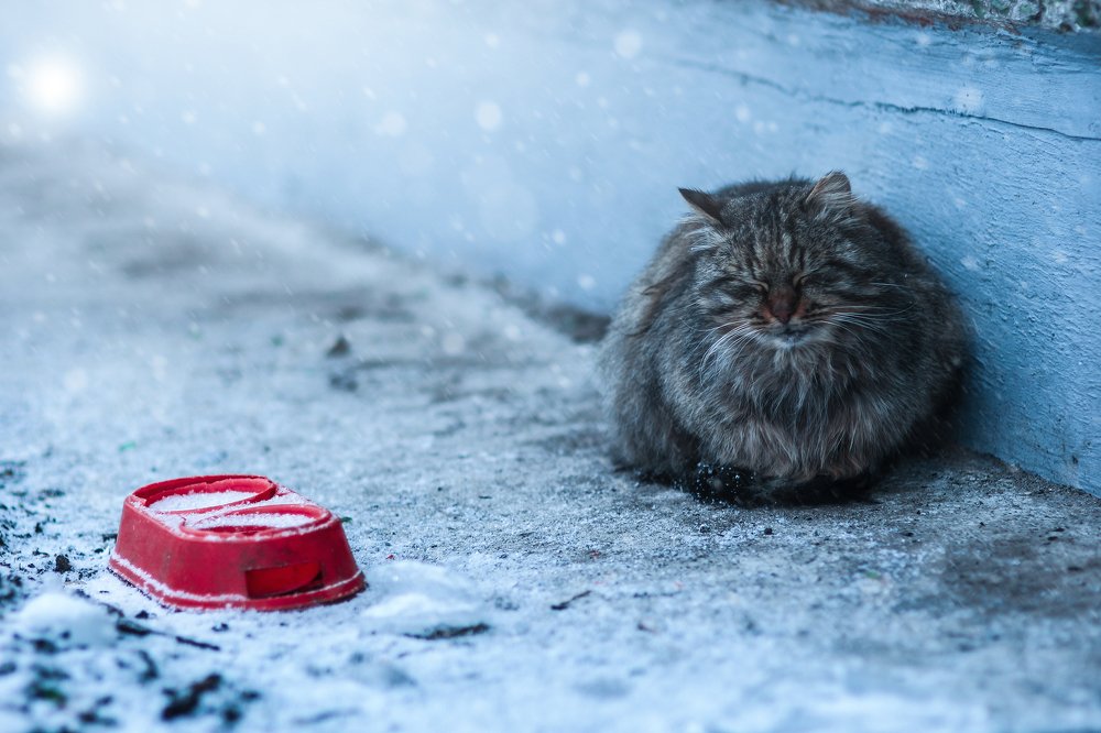 Photograph by Янина Насибова