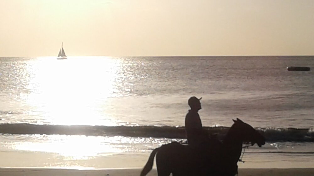 Atardecer