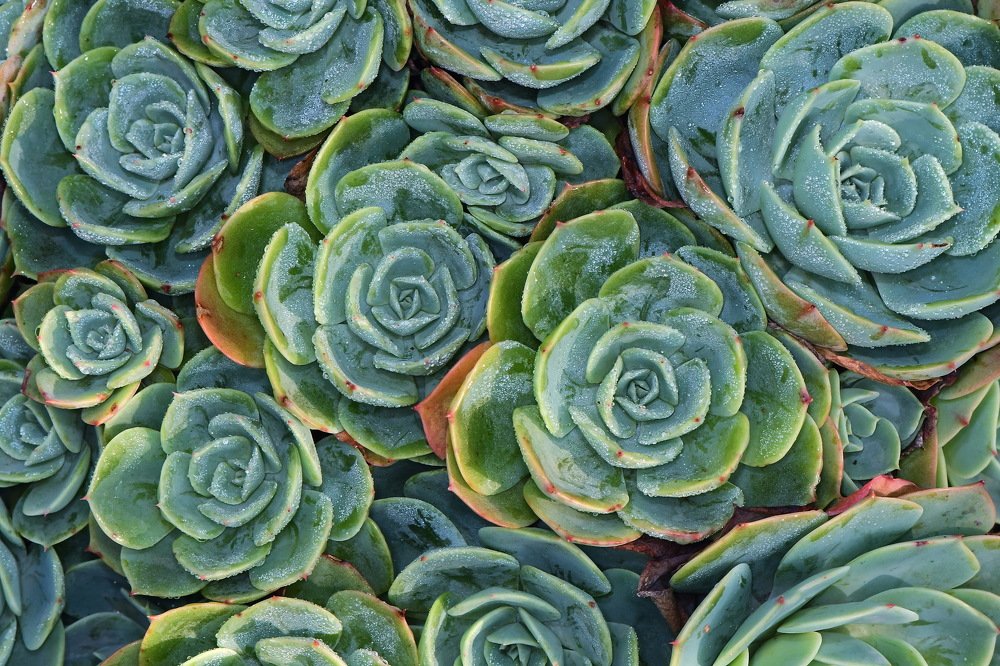 Photograph by Moura Denis