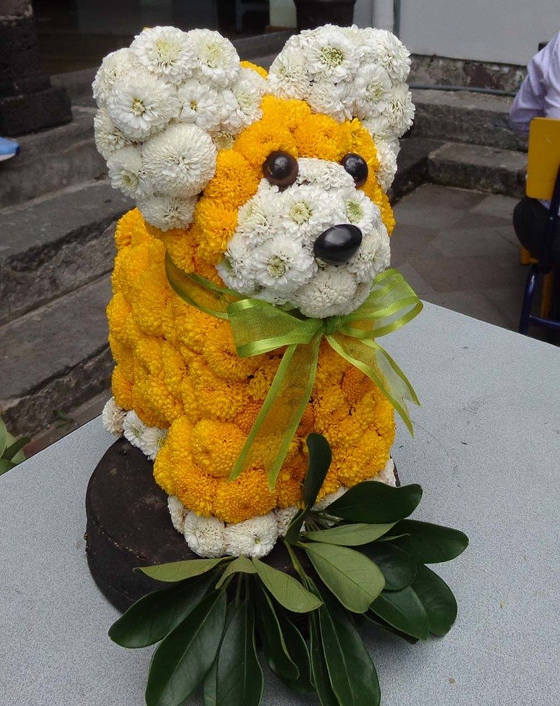 Photo #3584614