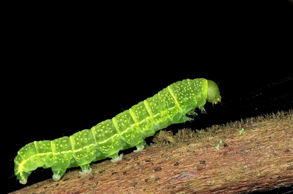 Photograph by Moura Denis