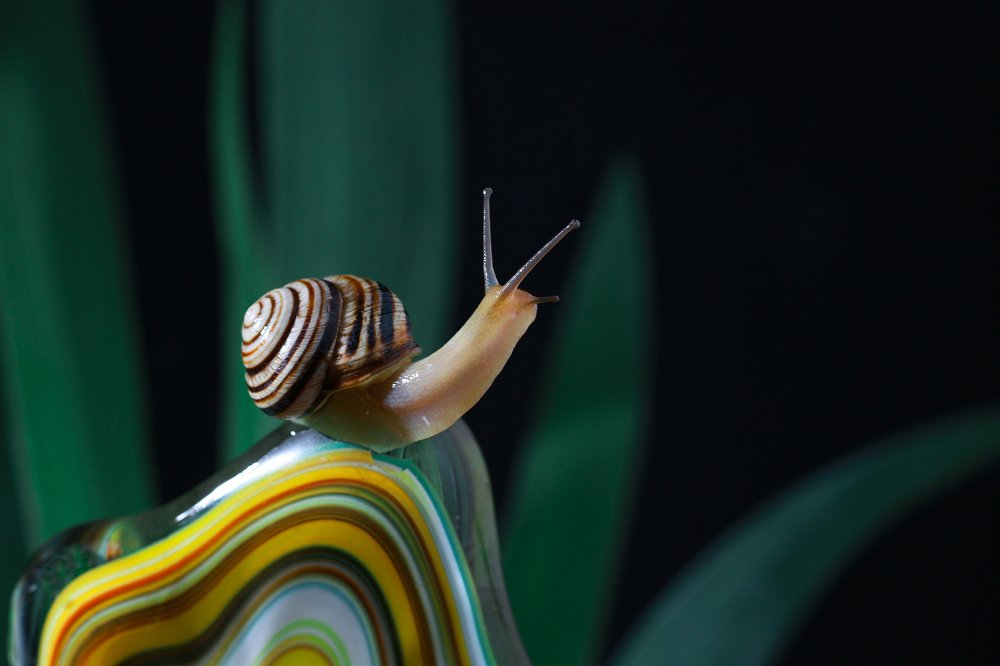 Фотография автора Андрей Андрей