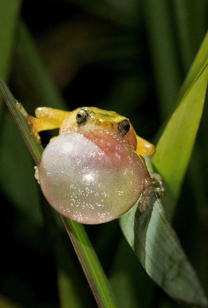 Photograph by SOUMI MITRA