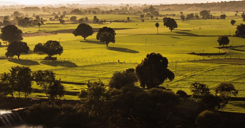 Photograph by Nyonika Rawal