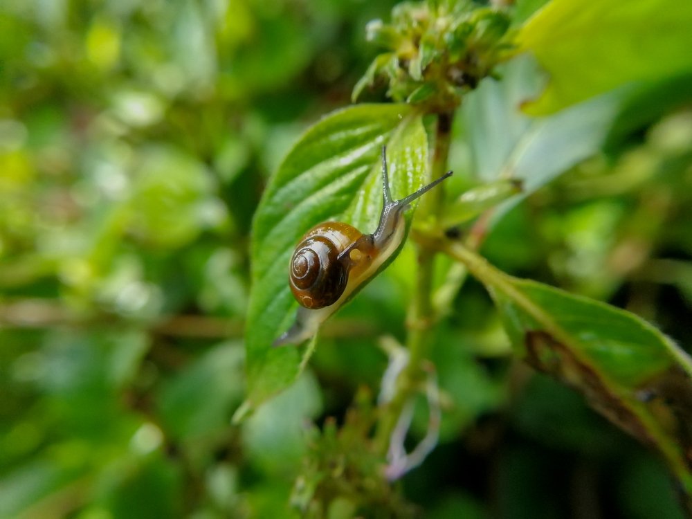 Photograph by Umesh Kumar PR