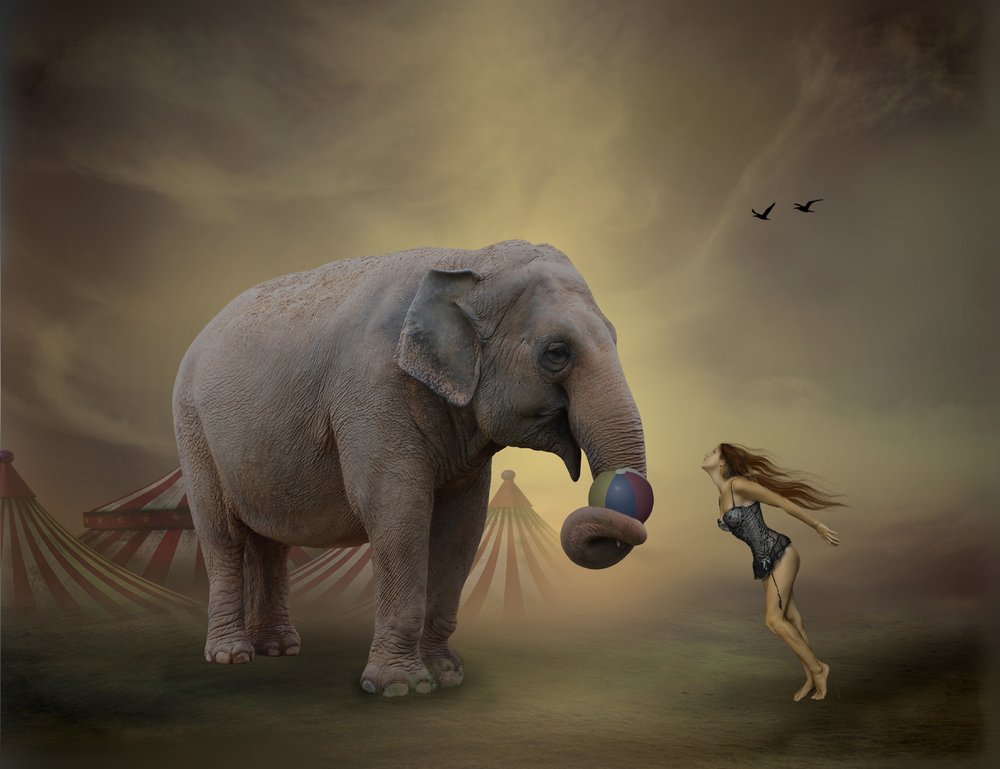 Photograph by Raul Villalba