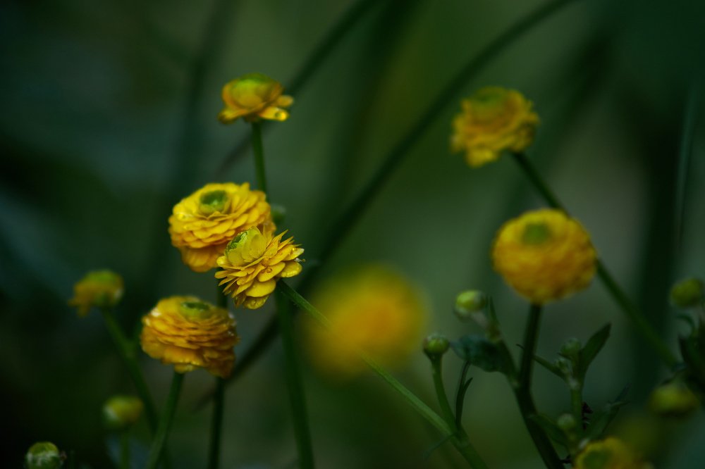 Photograph by Ирина Секачева