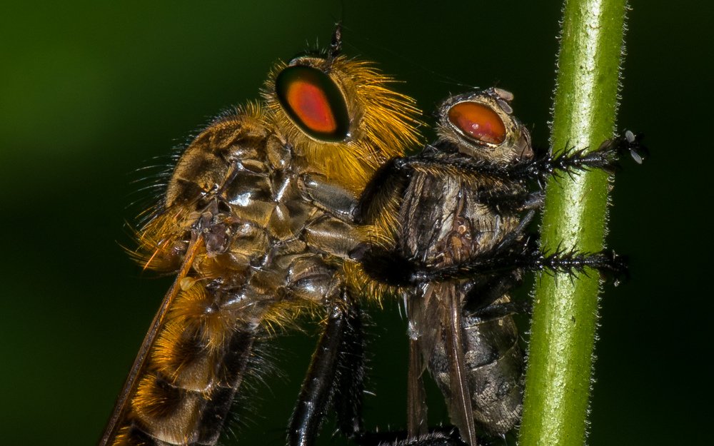 Photograph by Gajendra Bawane