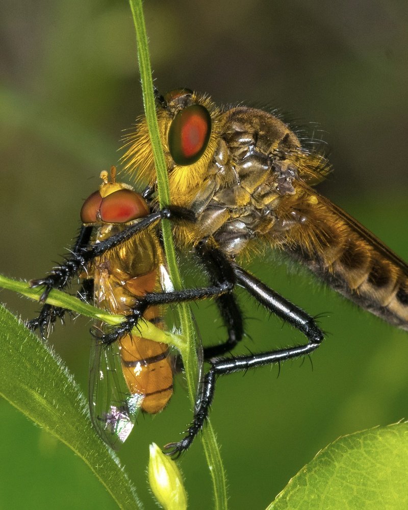Photograph by Gajendra Bawane