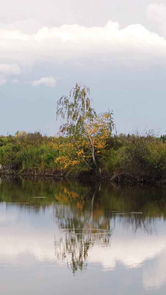 Photograph by сергей