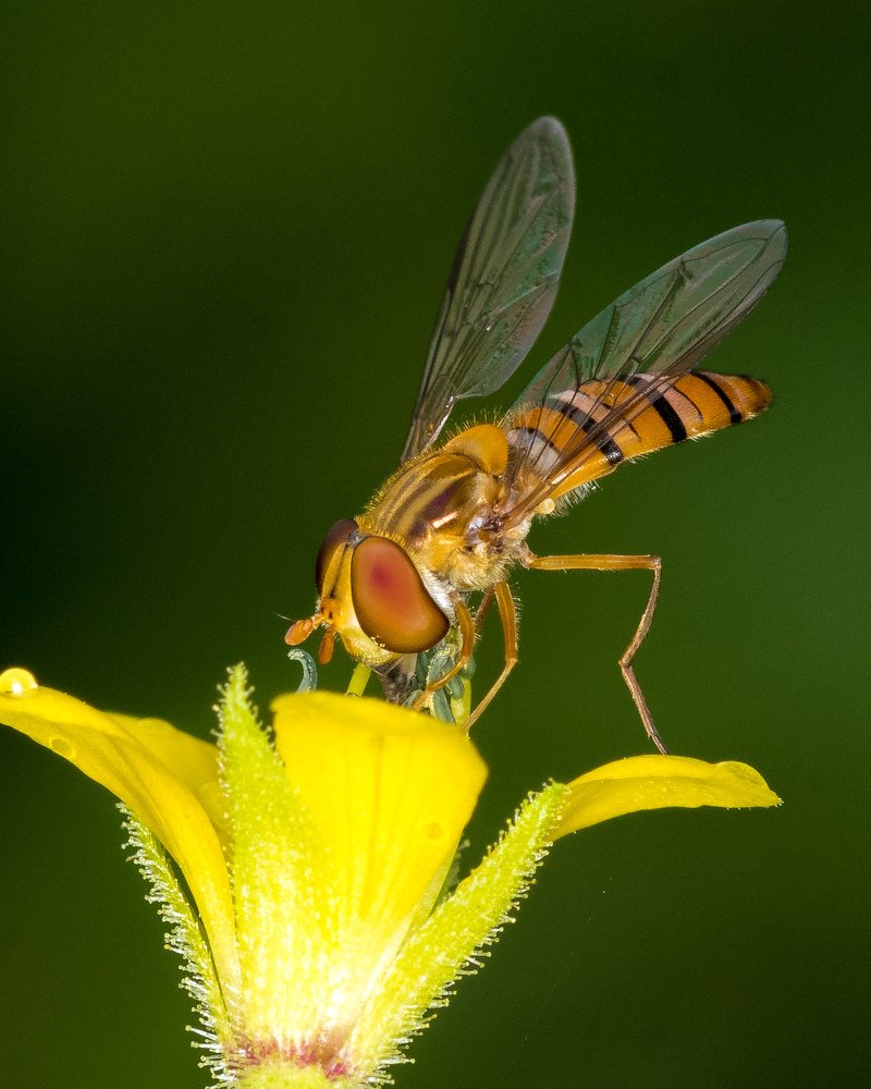Photograph by Gajendra Bawane