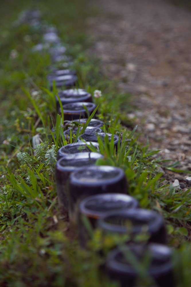 Photograph by shyam shrestha