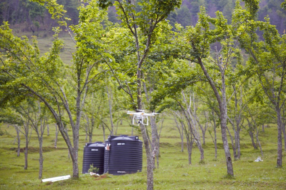 Photograph by shyam shrestha