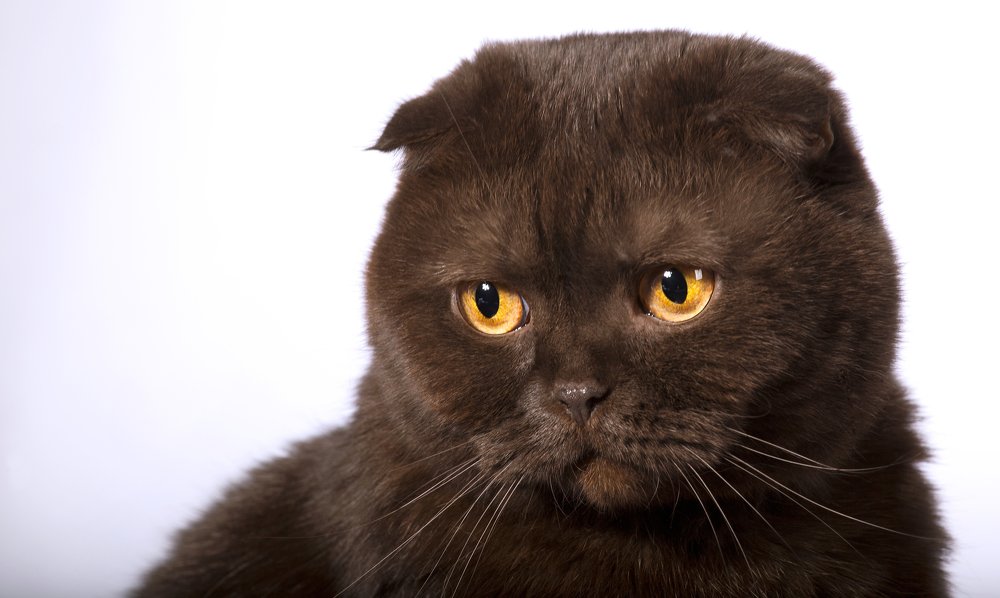 Photograph by Дмитрий Карманов