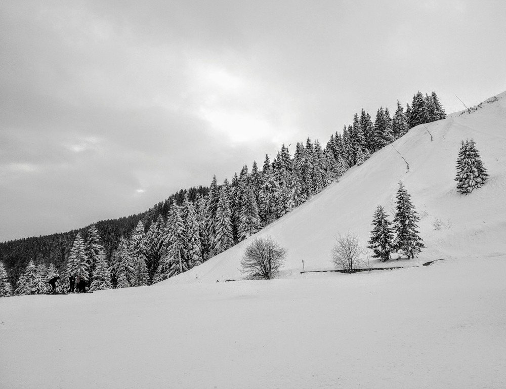 Photograph by Anna Doncila