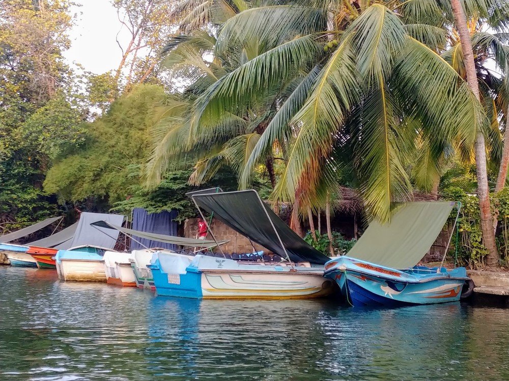 Photograph by Elena Chandran