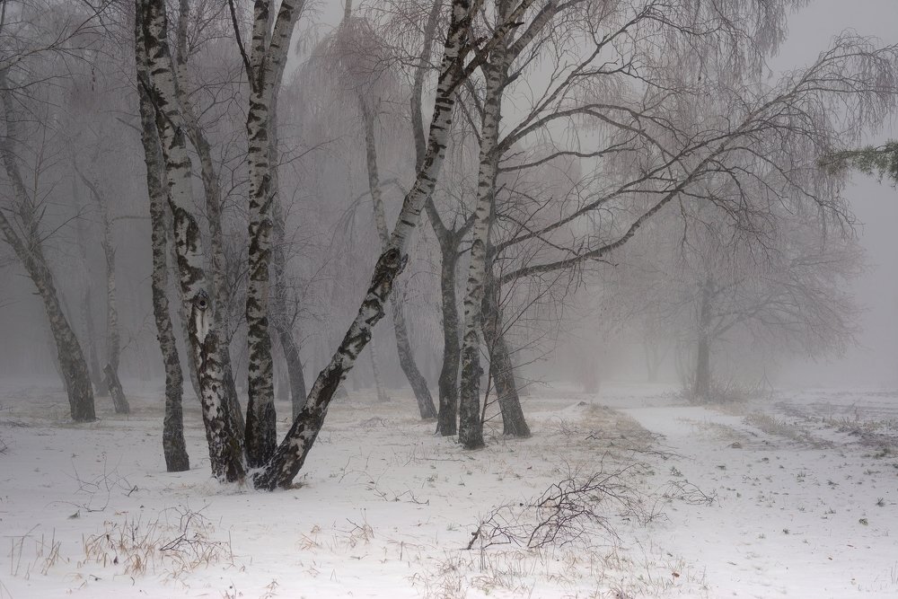 Photograph by Александр Жарников